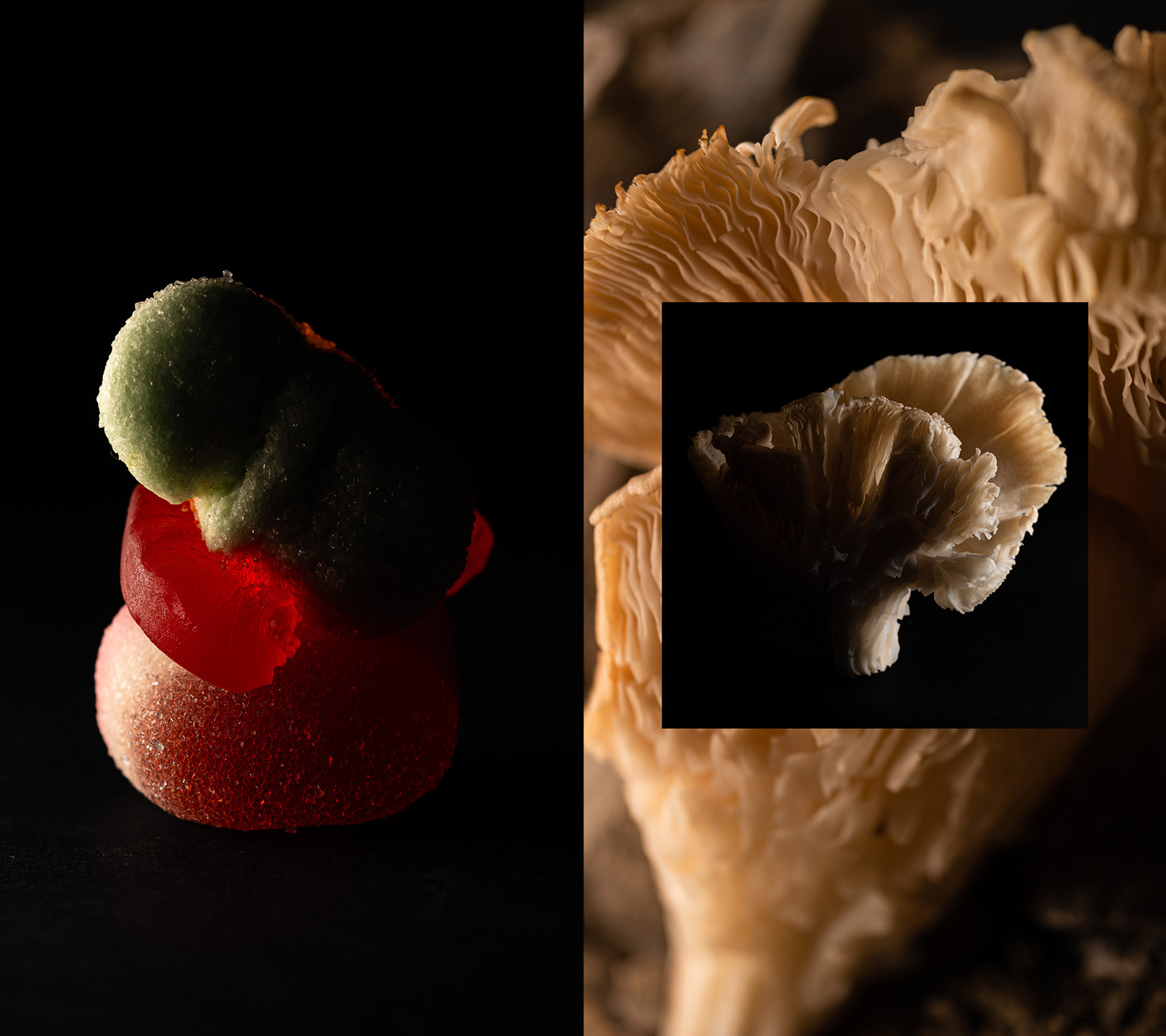 Texture Lab