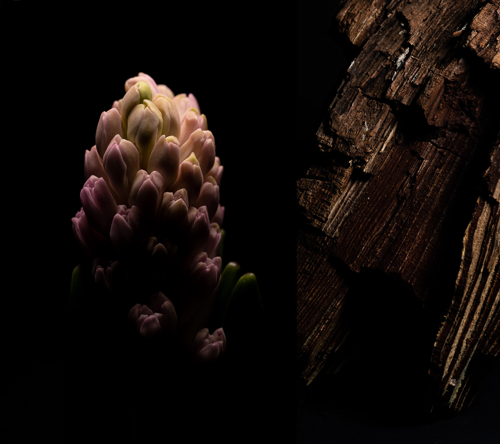 Texture Lab