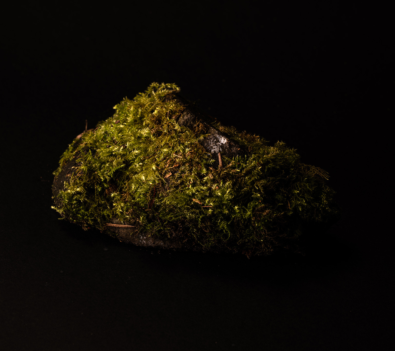 Texture Lab