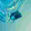 Elemis Pro-Collagen